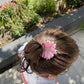 Klikklak Bloem - Little Seahorse